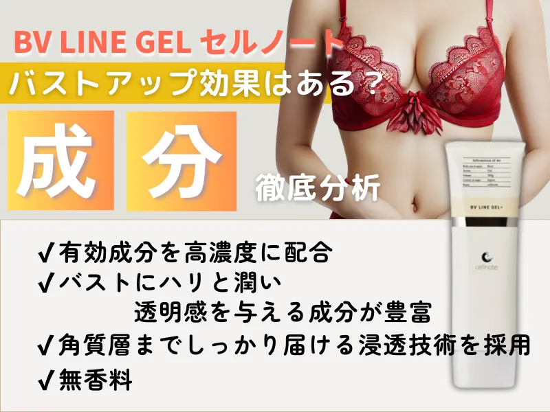 バストアップ効果はある？セルノート BV LINE GEL（ラインジェル）の成分を徹底解析